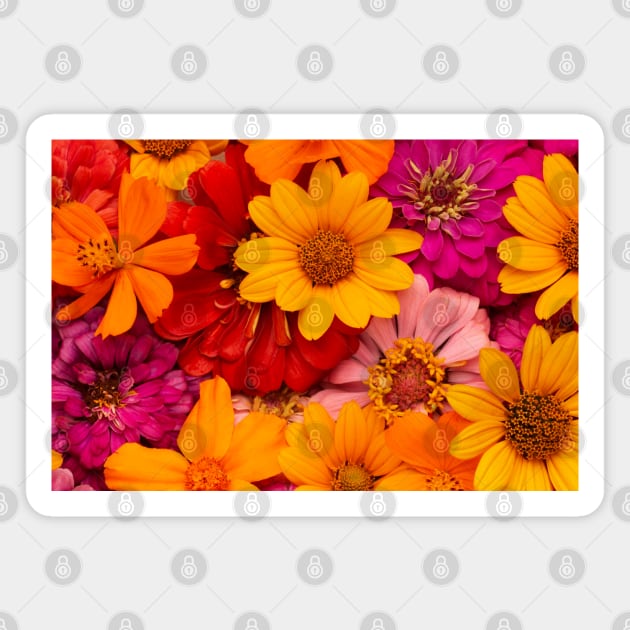 FLOWERS Magnet by Raihue